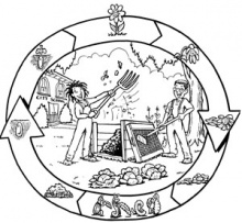 A Teacher's Guide to Compost Activities