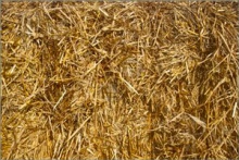 You'll need a source for carbon material, such as straw, hay, or leaves