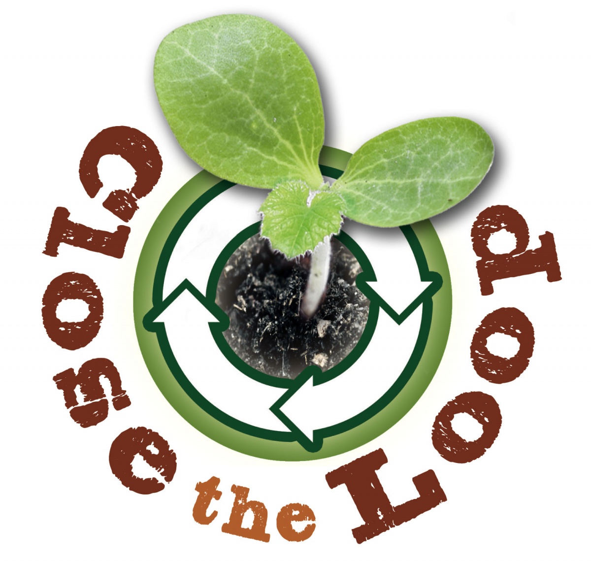 Close the Loop